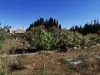 Grand terrain de la vente de notre maison d'hôte - gîte à vendre avec piscine à Perpignan (2).webp